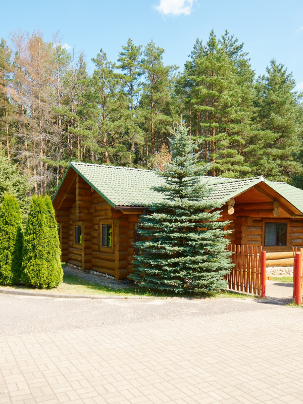 №3 (Базовое размещение)