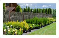 Our nursery-garden